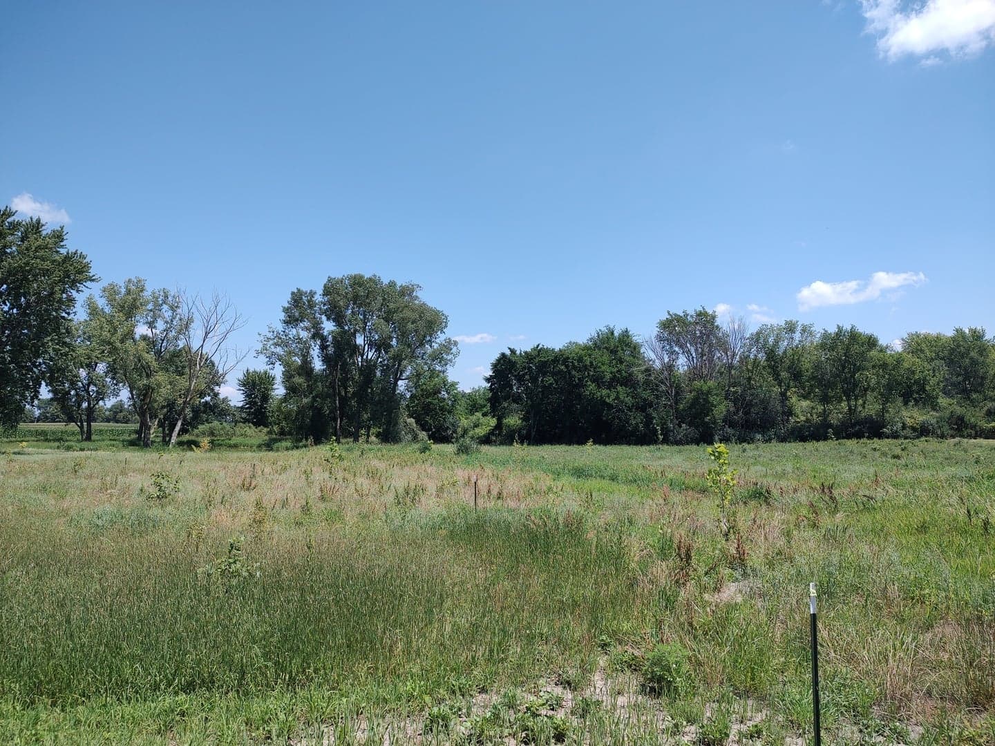 49W100 Rt 64, Maple Park – photo 1